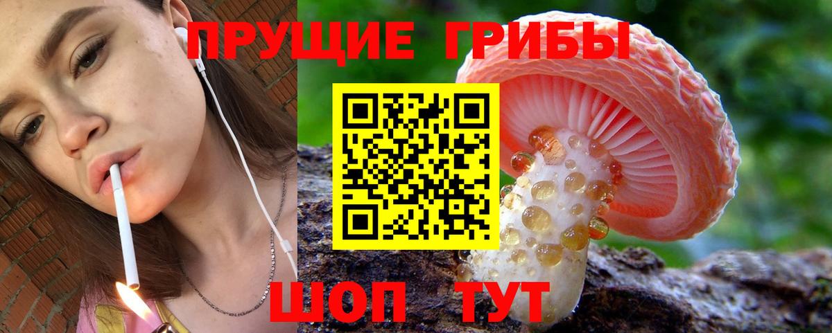 Меф Сертолово